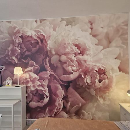 リヴォルノCasa Le Coccoleアパートメント エクステリア 写真