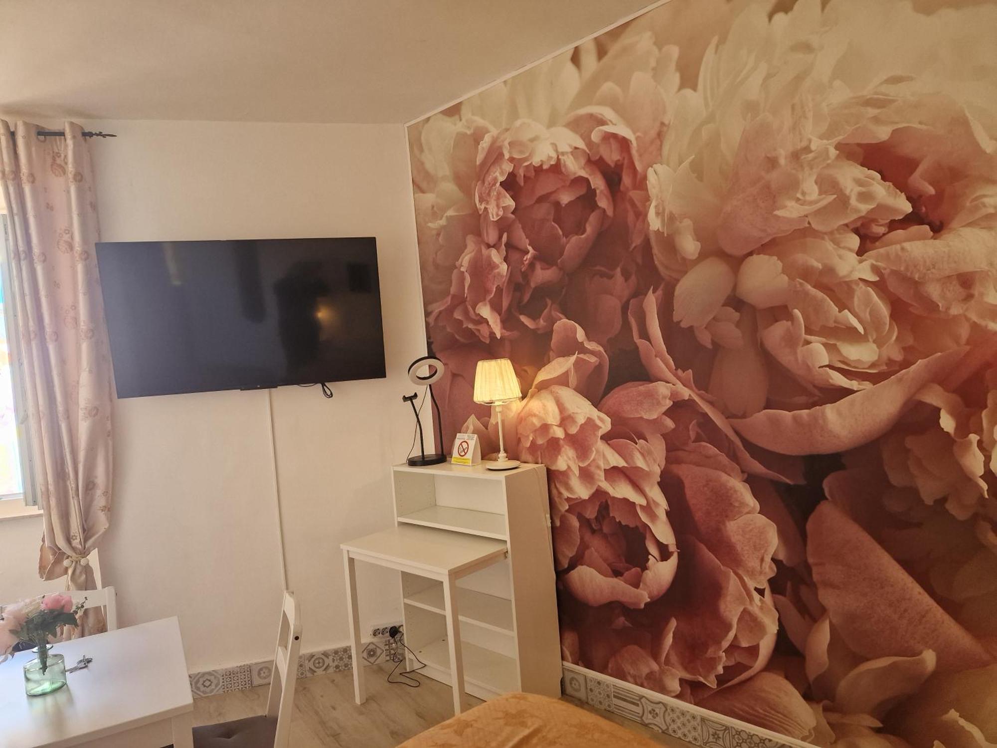 リヴォルノCasa Le Coccoleアパートメント エクステリア 写真